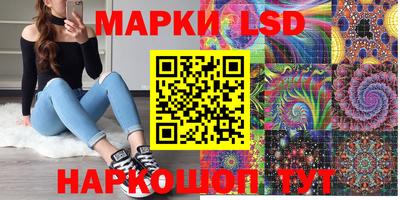 индика Рузаевка