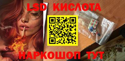 индика Рузаевка