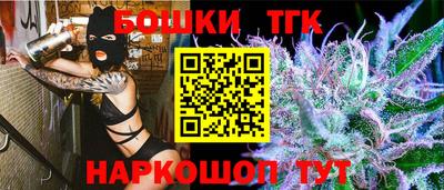 индика Рузаевка