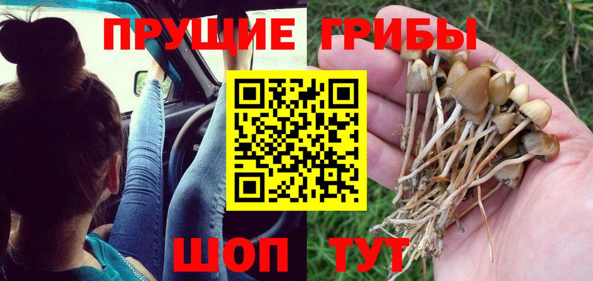 Псилоцибиновые грибы прущие грибы  где найти   Галлюциногенные грибы ЛСД  Новокубанск  Вход с VPN 